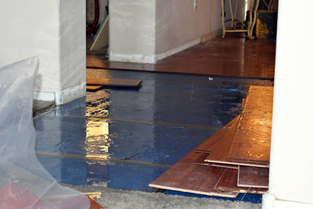 Professional Water Damage Restoration technician working in Wishon, CA